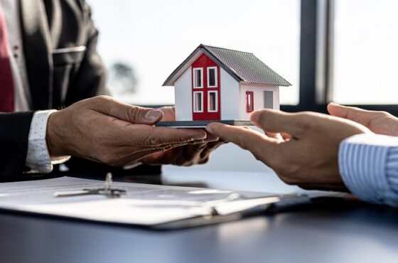 Profesyonel Emlak Danışmanlığı Hizmeti