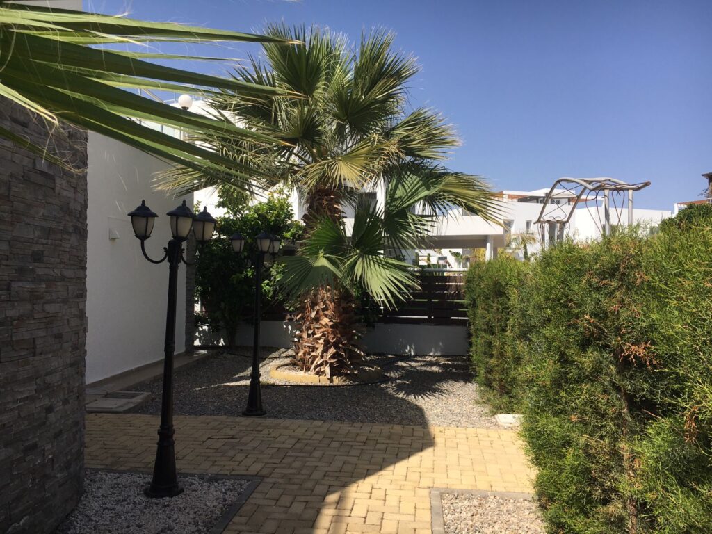 WhatsApp Image 2026-04-06 at 11.59.28 (1)