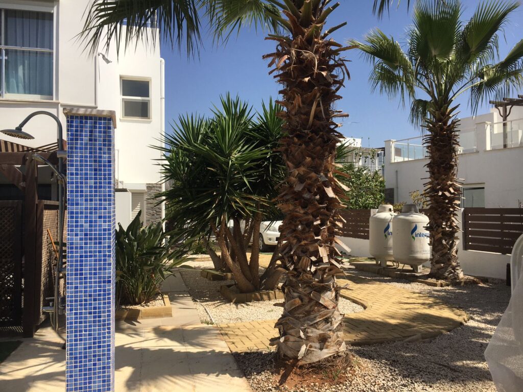 WhatsApp Image 2026-04-06 at 11.59.29